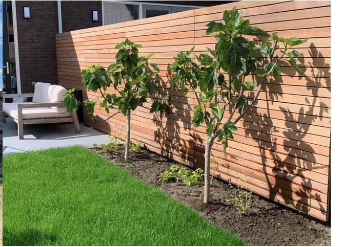 Hardhout Schutting Modern 180 x 180 cm - Afbeelding 4